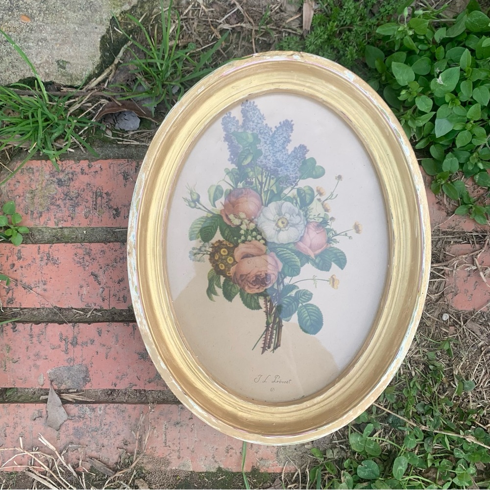 Vintage Framed Oval Botanical Print by Jean Louis (J.L.) Prevost Cottagecore Art - Picture 15 of 16